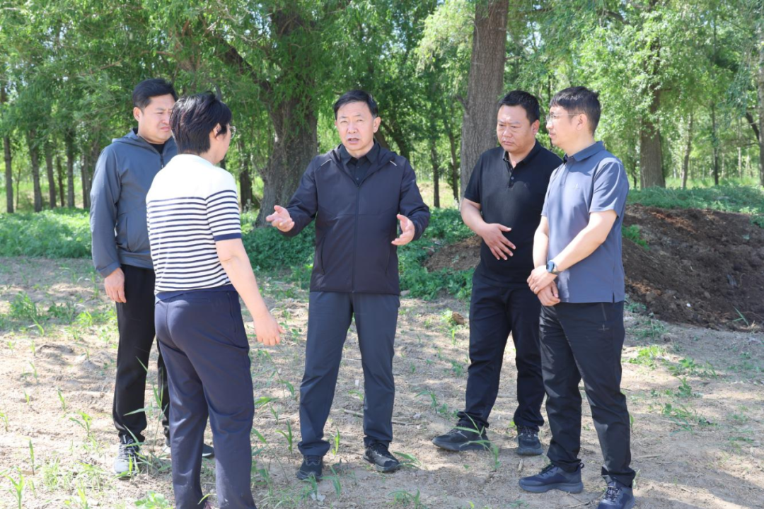 奇·达楞太实地督导包联中央环保督察组交办群众环境信访件办理工作2.png